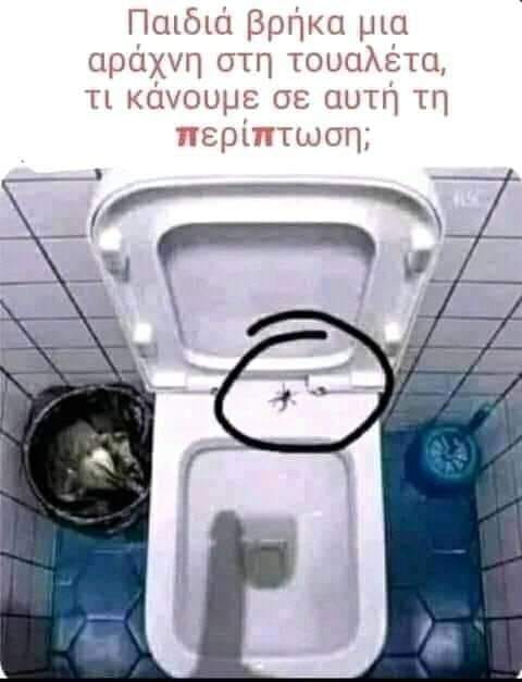 ΩΧ! Μία αράχνη