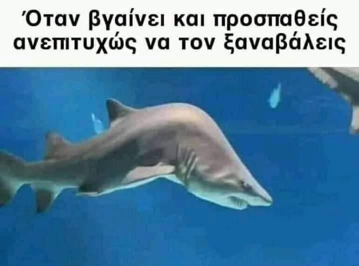 Λάστιχο