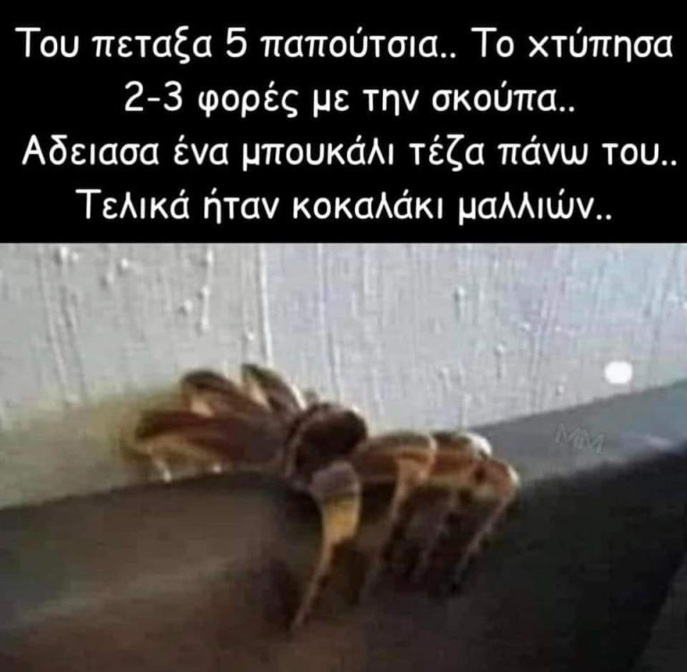 Φοβήθηκα