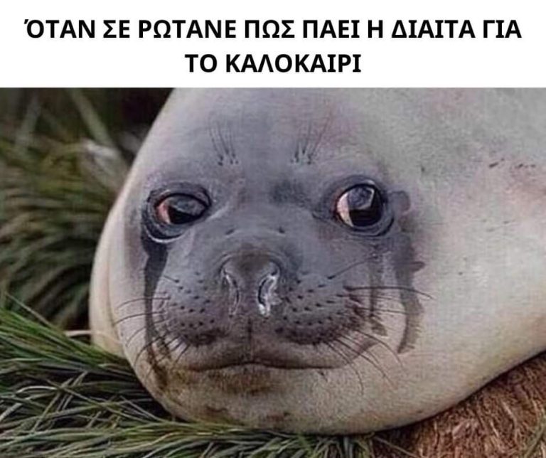 Καλά πάει :’)