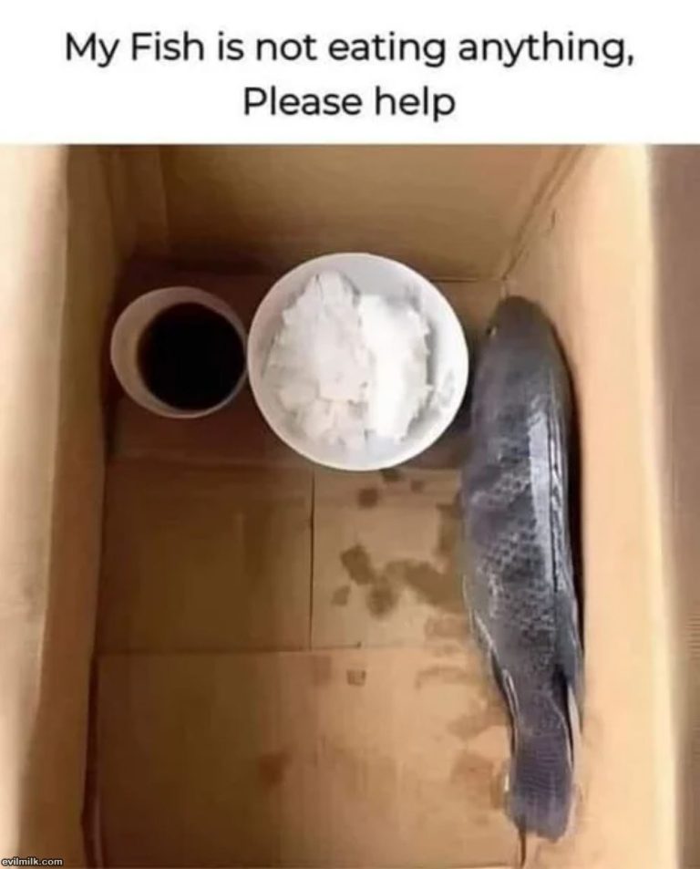 Please Help