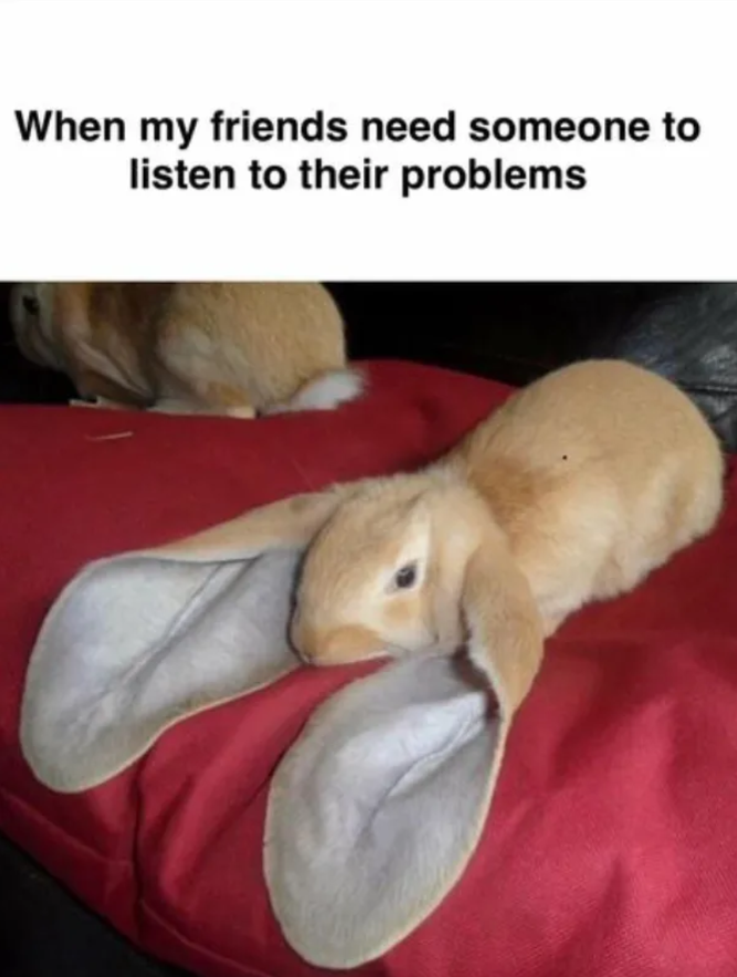 i am their bunny