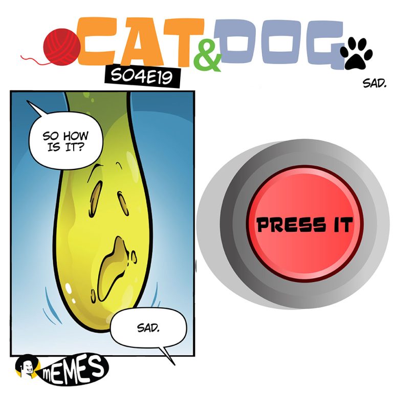 [ENG] CAT & DOG S04E019 SAD.