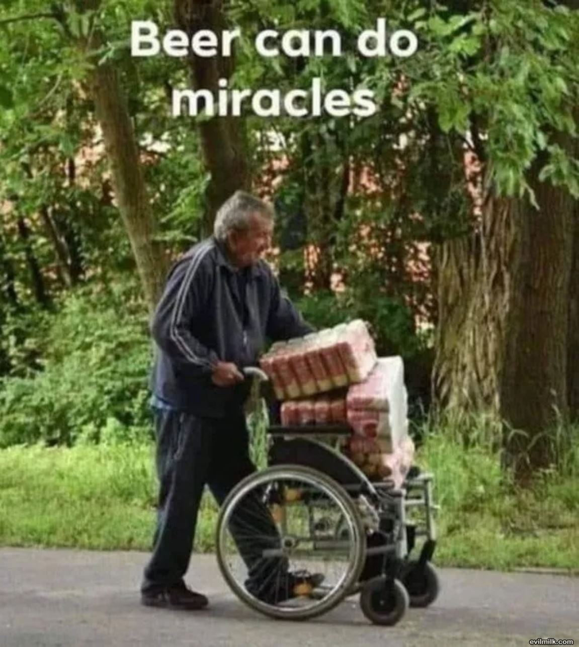 dailyhaha funny pictures