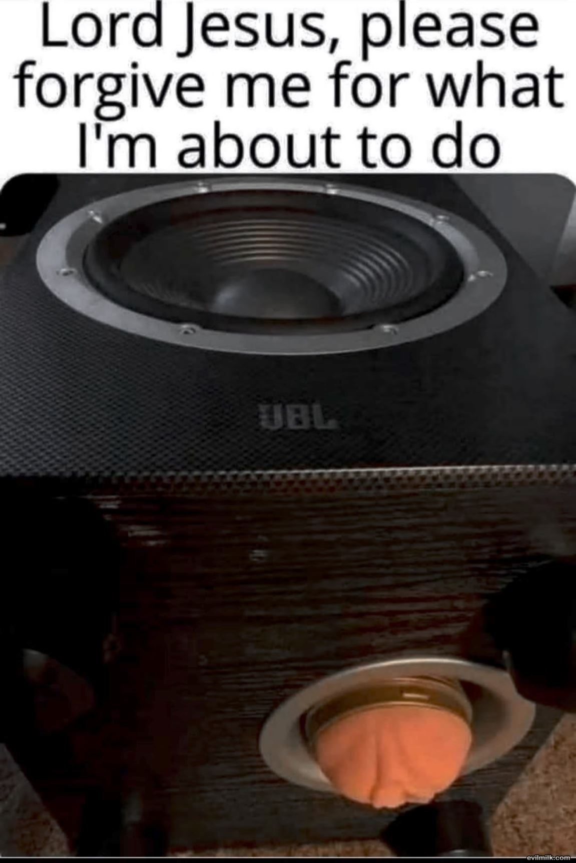 dailyhaha funny pictures