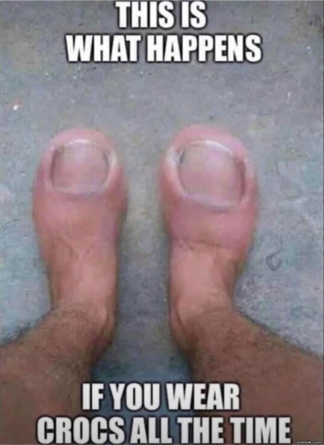 dailyhaha funny pictures