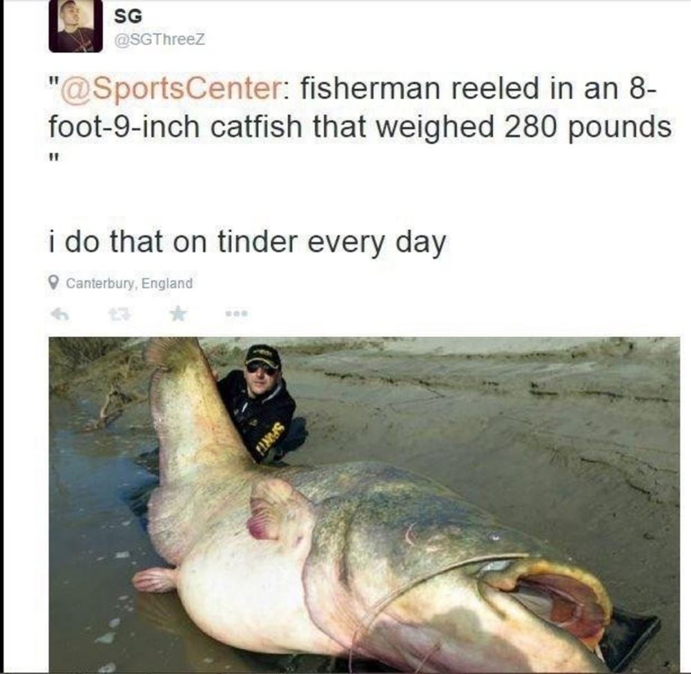dailyhaha funny pictures