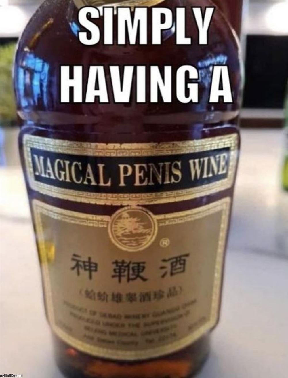 dailyhaha funny pictures