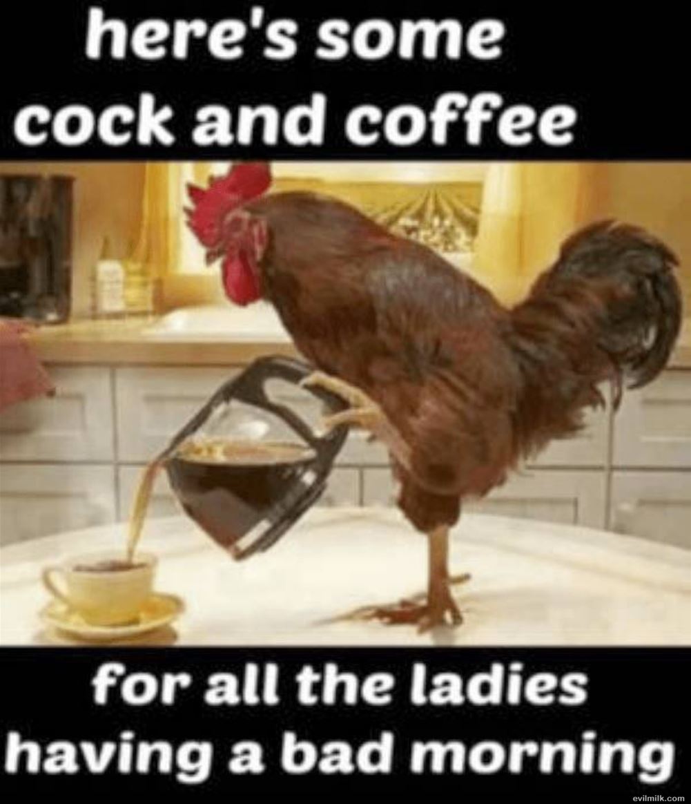 dailyhaha funny pictures