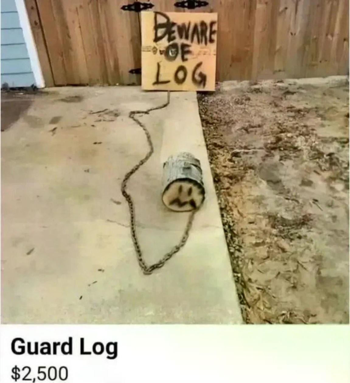 dailyhaha funny pictures