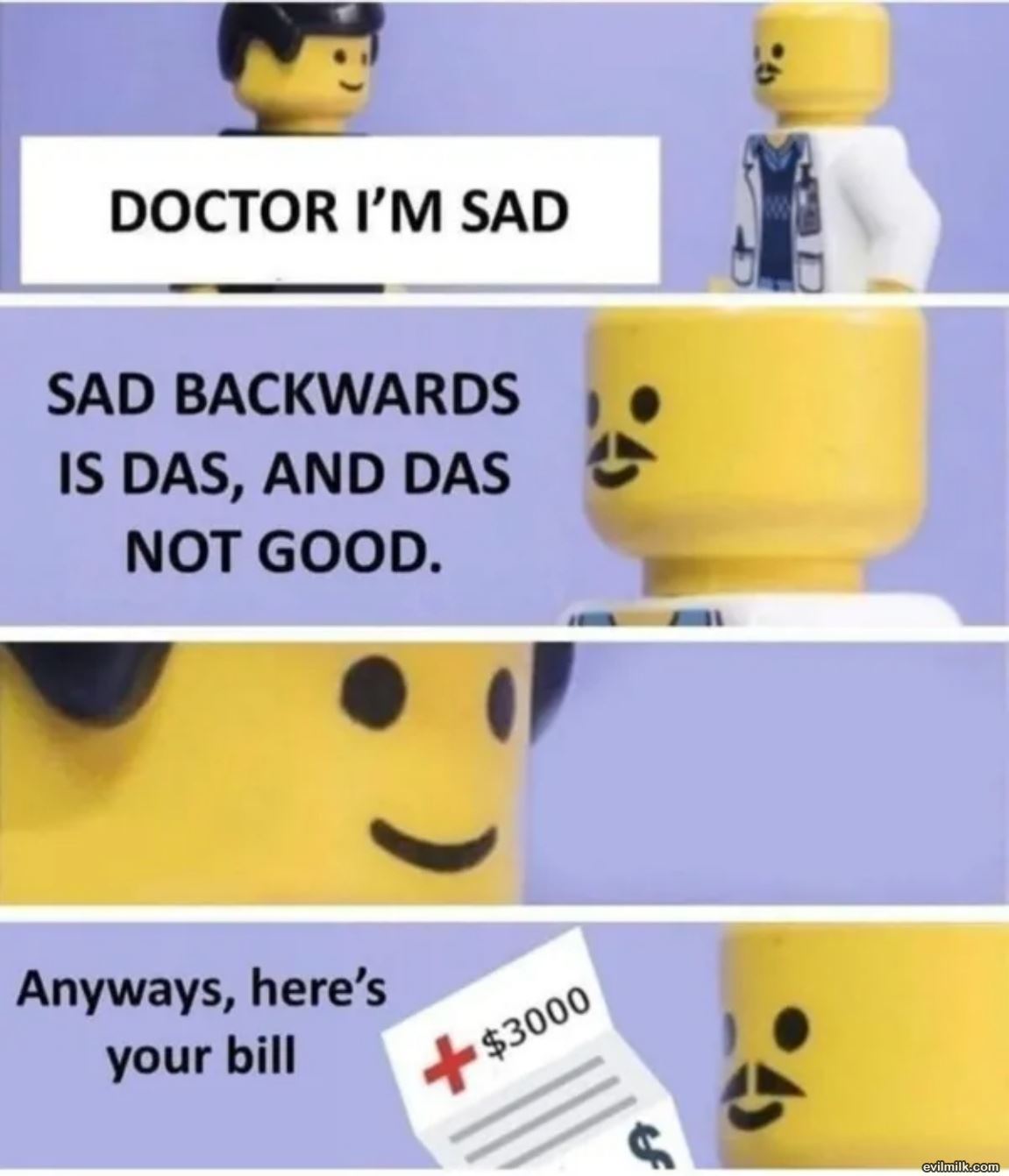 dailyhaha funny pictures