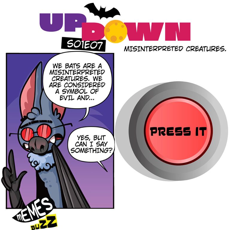 [ENG] UP DOWN S01E07 MISINTERPRETED CREATURES