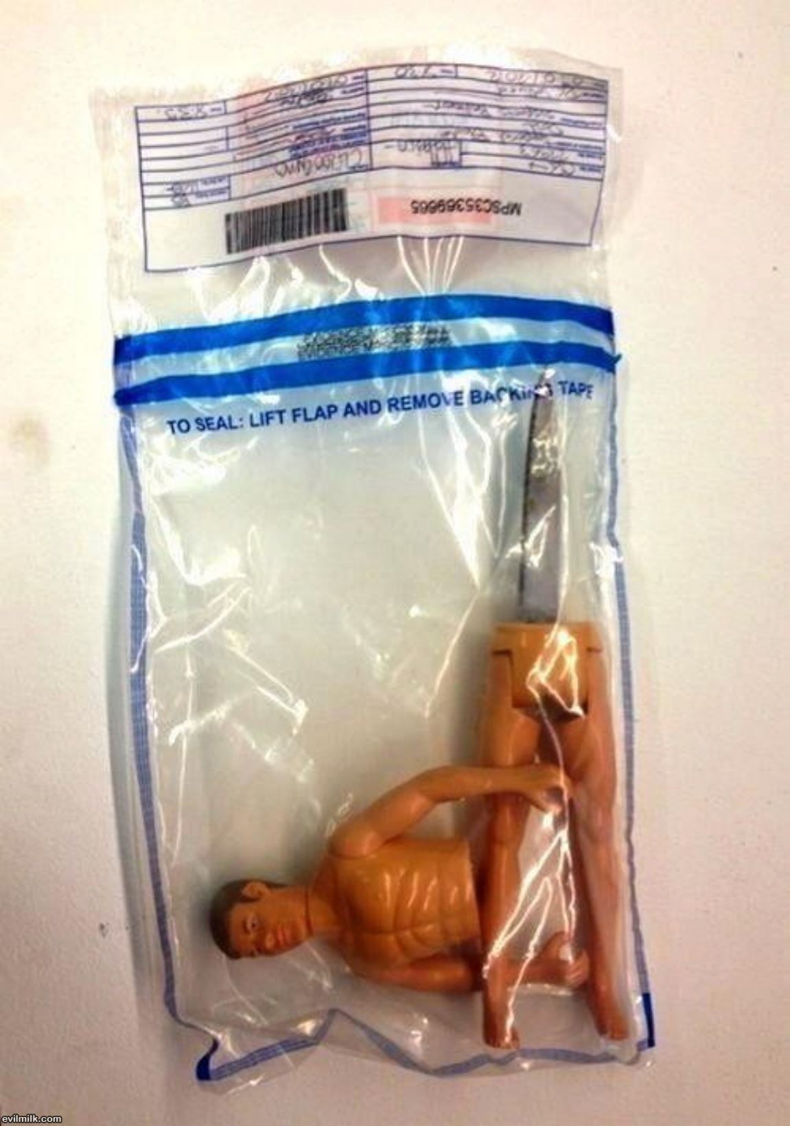 dailyhaha funny pictures