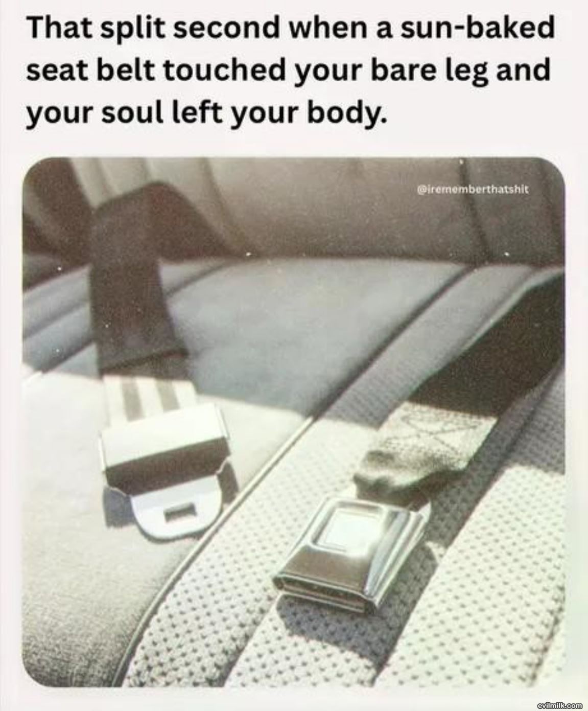 dailyhaha funny pictures