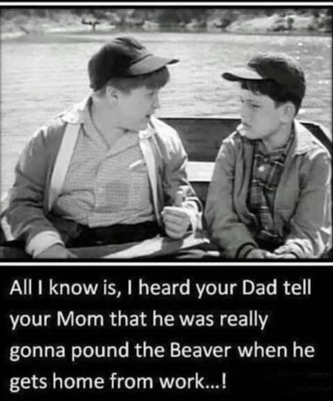 dailyhaha funny pictures