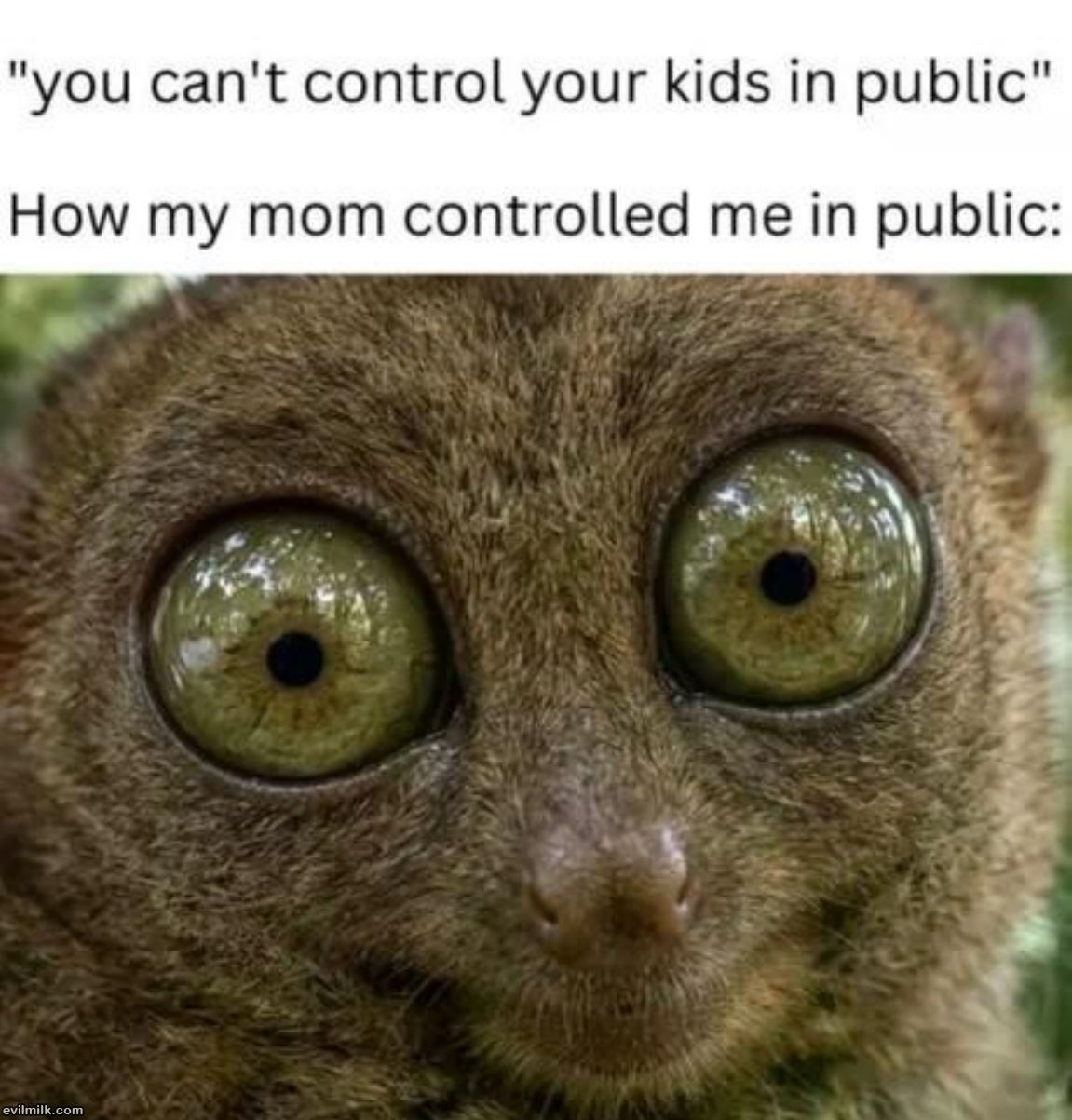 dailyhaha funny pictures