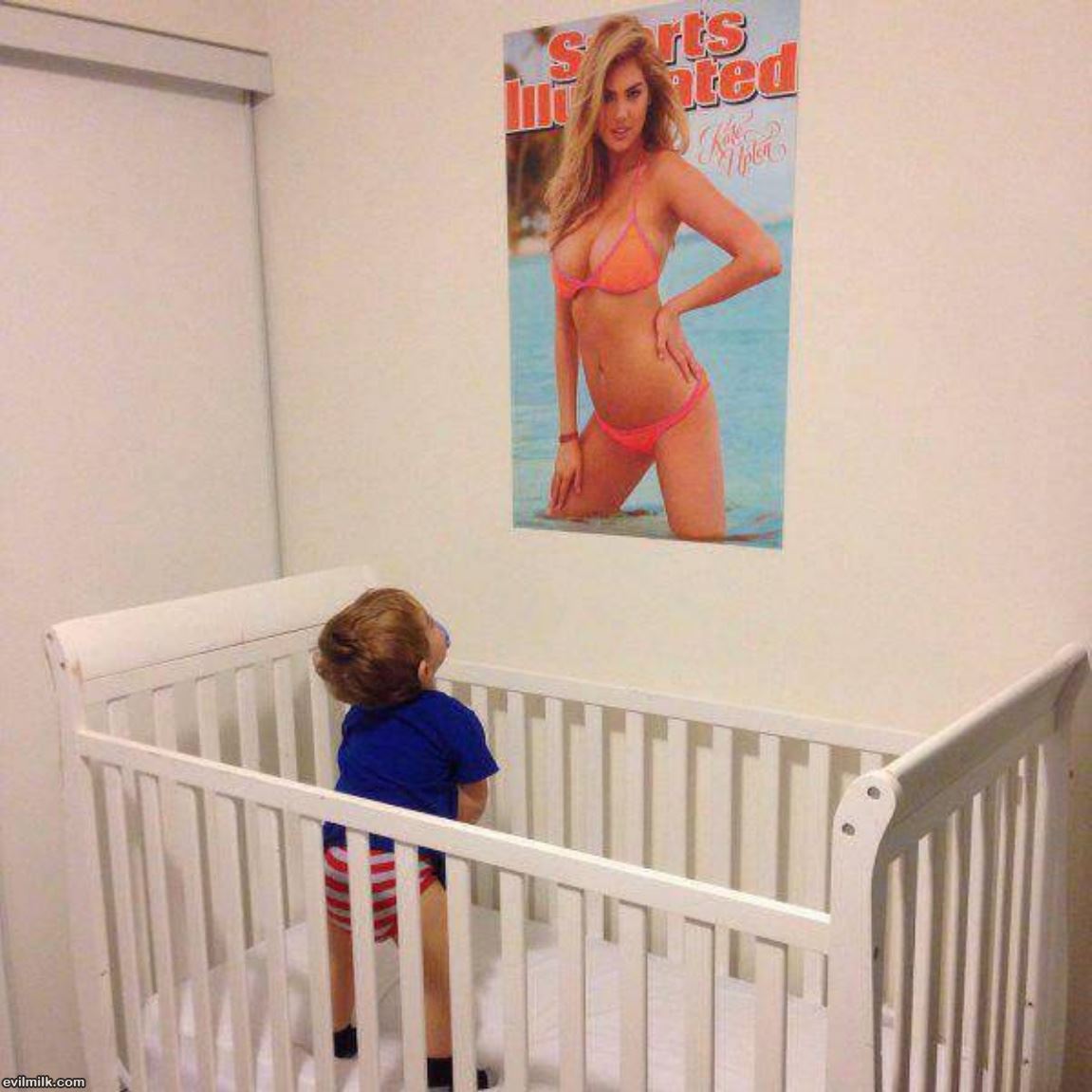 dailyhaha funny pictures