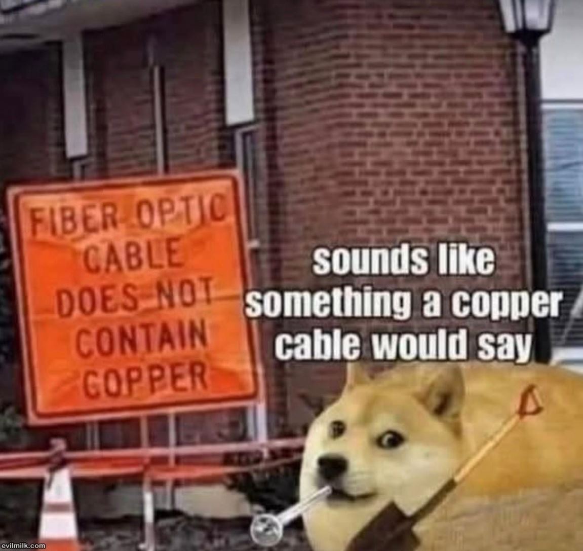 dailyhaha funny pictures