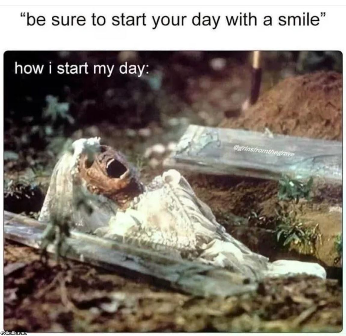 dailyhaha funny pictures
