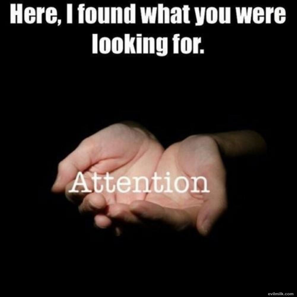 dailyhaha funny pictures
