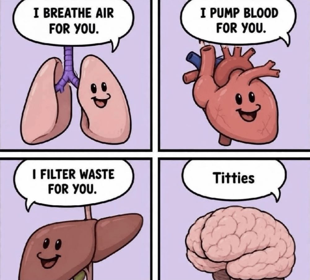 dailyhaha funny pictures