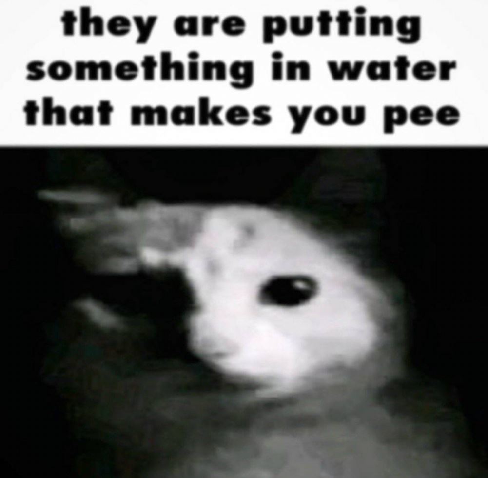 dailyhaha funny pictures