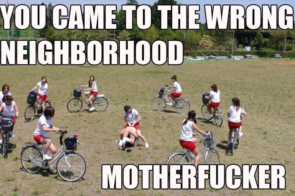 dailyhaha funny pictures