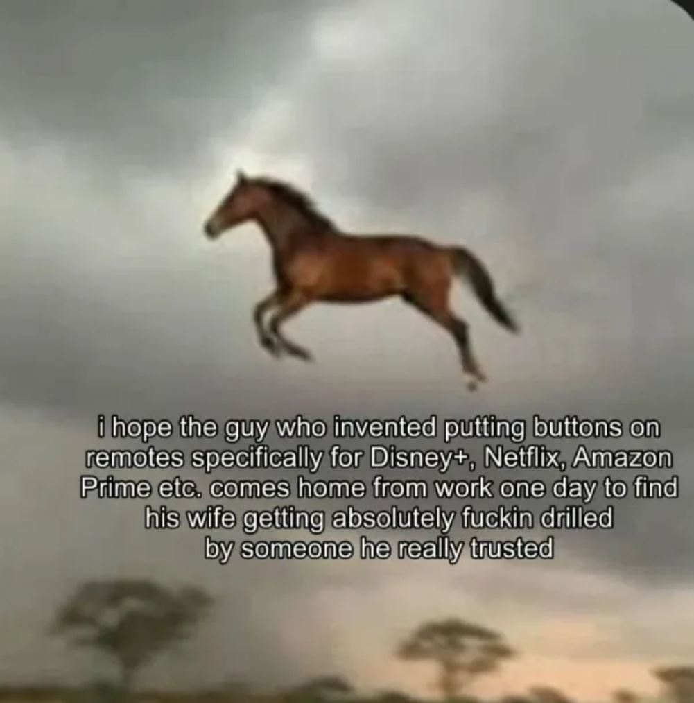 dailyhaha funny pictures
