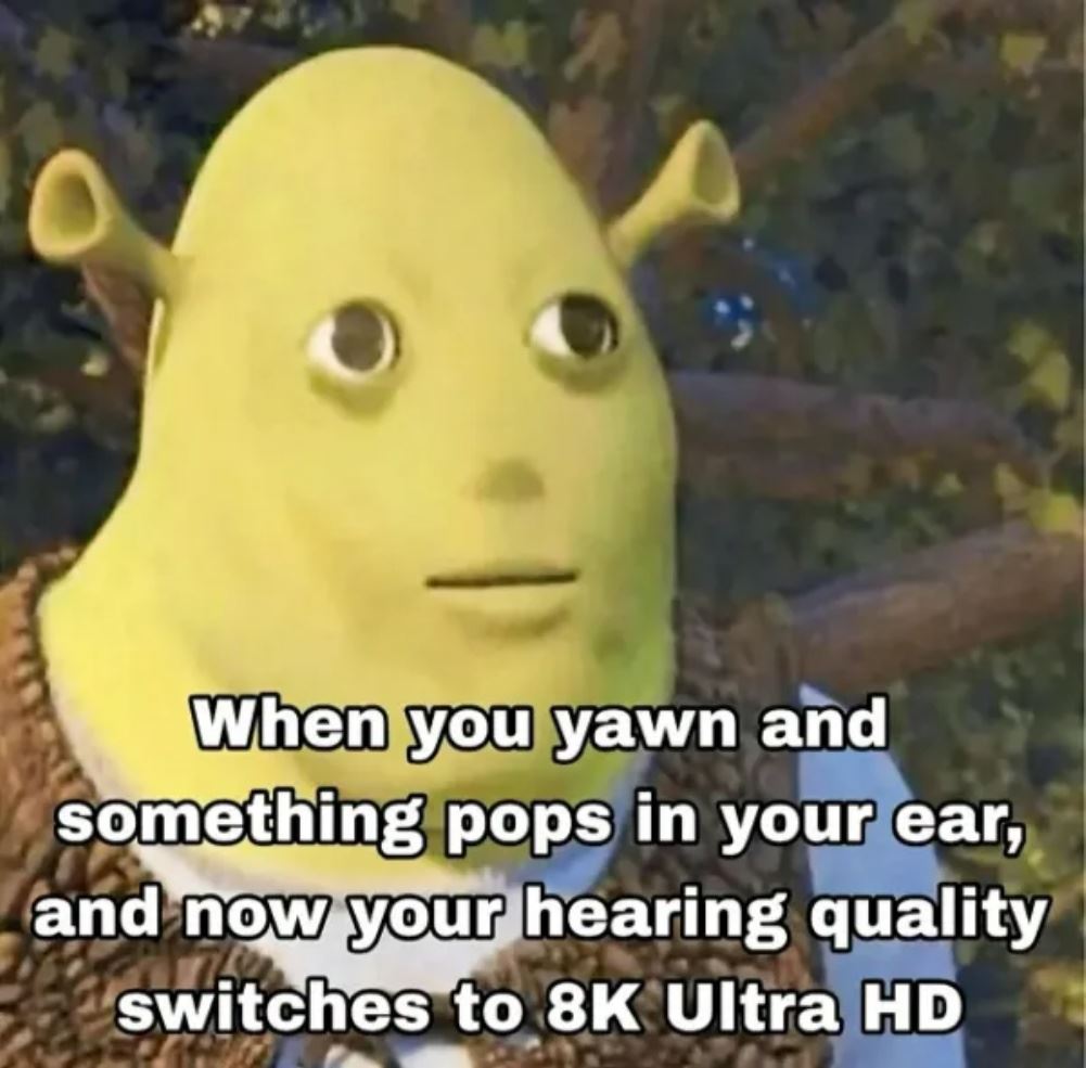 dailyhaha funny pictures